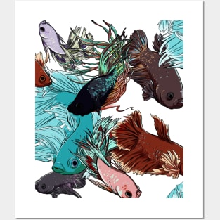 Betta fish mayhem Posters and Art